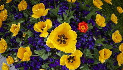 Гръмотевици, дъжд, но и жега - живакът минава 30°