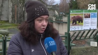 Човешка намеса кара все повече мечки да не спят зимен сън и да се разхождат