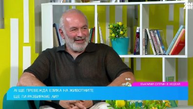 Не хващайте главата на кучето си с две ръце, предайте им спокойствие
