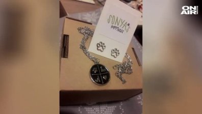 Едно момиче и много, много кучета