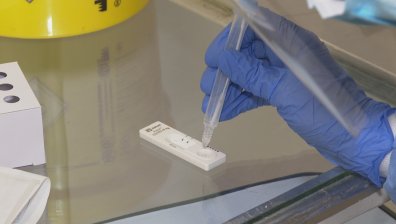 11 антигенни теста за диагностика на Ковид-19 могат да се прилагат в училищата