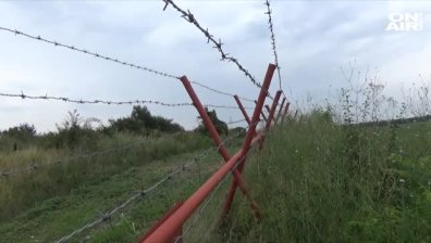 Затягат мерките срещу африканската чума по свинете