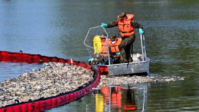 Тонове мъртва риба и задушаваща миризма в река Одер