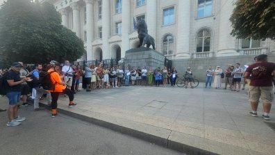 Протести в страната след отравянето на защитени лешояди в "Централен Балкан"