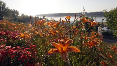 Горещ четвъртък с температури до 35°C, от петък - хладна вълна и валежи