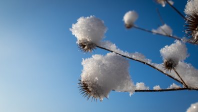 Слънчева, но студена неделя
