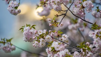 Топло време със слаб вятър в четвъртък, но на места ще превали
