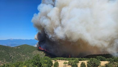 Кметът на Струмяни Емил Илиев: Фронтът на пожара е изключително голям