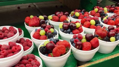 Как приемът на антиоксиданти предпазва клетките в тялото?