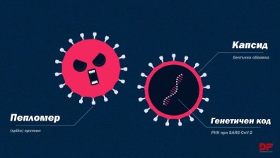 Филмче разяснява как работят ваксините и защо е важно да се ваксинираме