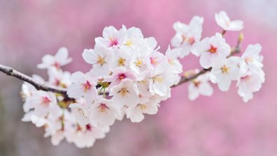 Слънчев и топъл край на седмицата, градусите тръгват нагоре