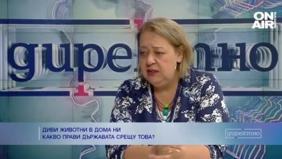 По-тежки наказания за насилието над животни