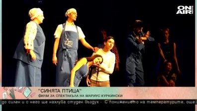 Дарин Ангелов за "Синята птица"