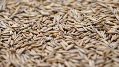 Цените падат: Пшеница, олио, мляко поевтиняват на световните пазари