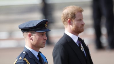 Хари иска примирие с Уилям и прави опити да разговаря с него