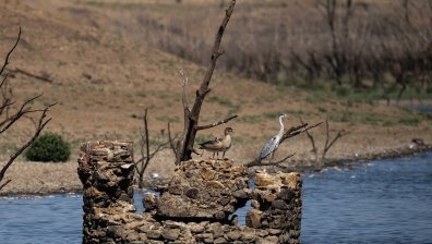 Каталуния обяви извънредно положение заради сушата