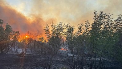 Огънят в Сакар планина обхвана 7000 декара, военни отиват на помощ на пожарникарите