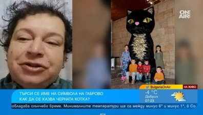 Габрово търси име на пухкаво коте в Музея на хумора и сатирата