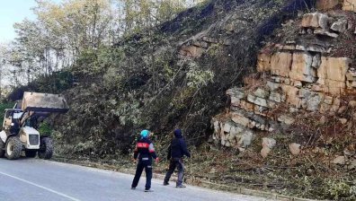 АПИ: Паднали скали затрудняват движението по пътя Велинград - Сърница