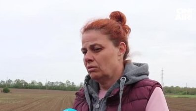 Паника сред земеделците след срив в системата на ДФ "Земеделие"