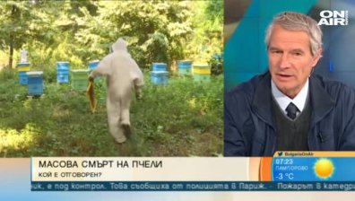Пестицидите - основна причината за смъртността при пчелите