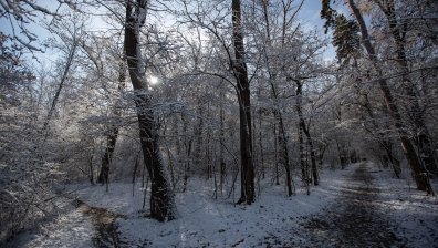 Синоптици предупреждават: Жълт код за мразовито време в цяла България