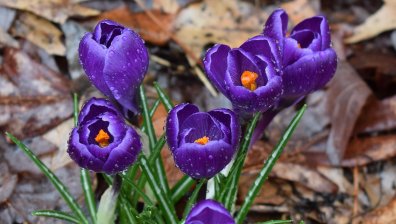 Времето в петък: Облаци, превалявания и температури до 22 градуса