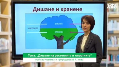 Урок №2 по човек и природа за 4 клас