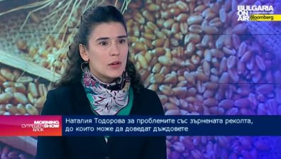 Вече се сключват сделки на зелено за 300-310 лв на тон пшеница
