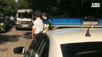 Стопани избиват прасетата си, които гледат за домашни нужди