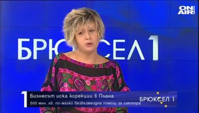 Ангелина Добрева: Против сме кабинетът да намалява грантовете за бизнеса за сметка на кредитите в Плана за възстановяване