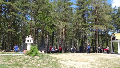 Само за седмица: Близо 1000 незаконно отсечени дървета