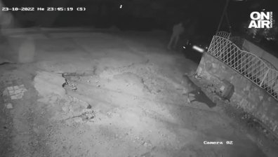 Добре известен на полицията: Задържаха за 24 часа насилника на кучето Мечо