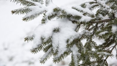 Сняг посред лято заваля в Румъния
