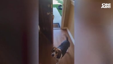 Click 19 ноемрви 2016