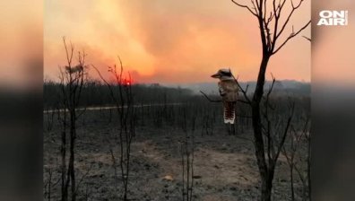 Бедственото положение в Австралия заради пожарите продължава
