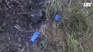 Откриха тялото на изчезналата преди година брокерка Теодора Бахлова (ОБНОВЕНА)