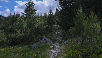 Трагедия в Стара планина: 60-годишна жена загина след падане от билото