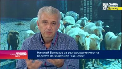 Заболяването &bdquo;Син език&ldquo; не е опасно за хората, коментира ветеринарен лекар