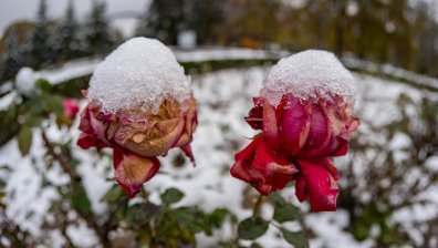 Жълт код: Мразовита събота с вятър и сняг на места