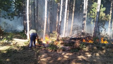 Потушен е пожарът край Свиленградско, 7 км е периметърът, изпепелени са 2400 дка 