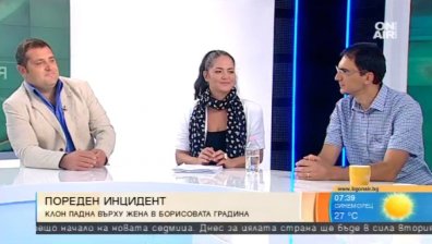 Клони падат по граждани: Небрежност или непредвидимост... Кой носи отговорност?