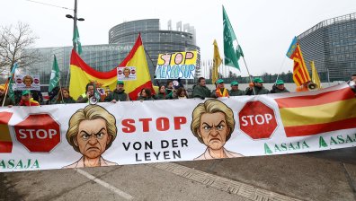 Колоритен протест в Страсбург срещу споразумението между ЕС и Меркосур (СНИМКИ)