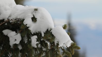 Сняг обви високите части на София