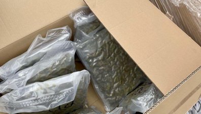 ГДБОП разкри второ депо за наркотици за по-малко от седмица