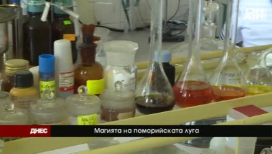 Тайните и лечебните свойства на поморийската луга