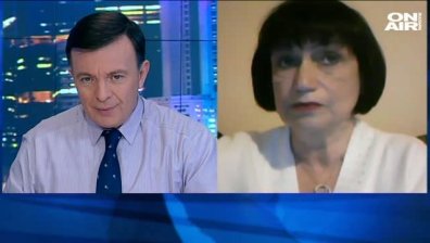 З. Димитрова: Не е потвърдено, че сириец е виновен за атентата в Истанбул