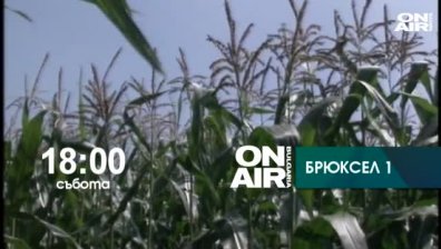 Анонс - Брюксел 1 - 31 октомври
