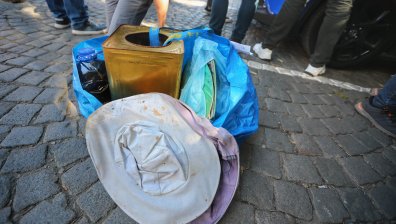 До 90% смъртност на пчелите в различни региони на страната