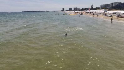 Екоминистърът: Плувах цял час в Черно море, жив съм, водата е чиста